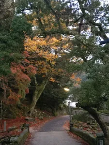 宮島　車なし旅