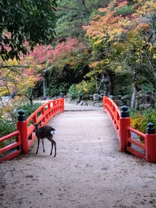 車なし旅のすゝめ